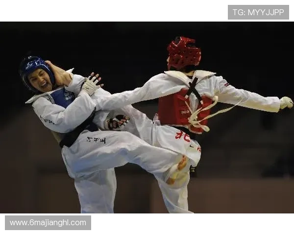 2026年全国大型跆拳道比赛精彩回顾与精彩瞬间