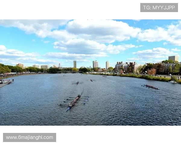 2026赛艇比赛：全球顶尖选手齐聚水上竞技场的盛宴